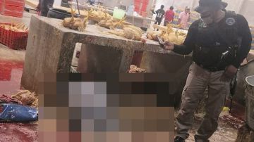 masacre Guerrerro muertos pollos en Petaquillas