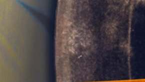 'Menudo: Forever Young' es el título del documental del grupo musical.