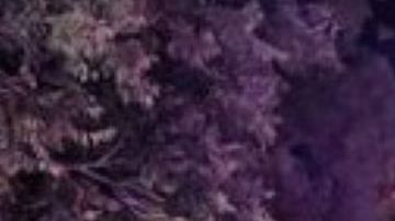 Escena en el Condado Atascosa.