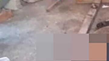 Niño de 10 años asesinado en Apaseo el grande, CJNG