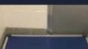 Los perros se encuentran en cuarentena.