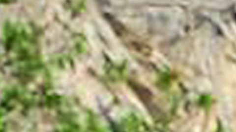 Shakira y Carlos Vives