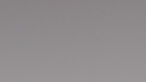 Hispanos tienden a sobre pagar en seguro de auto.