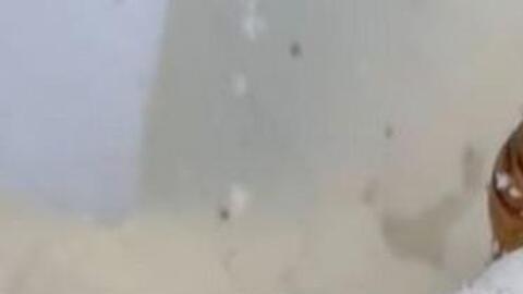 Supergusano