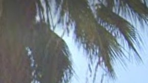 Todos los vecinos tuvieron que desalojar el edificio de Miami Beach por temor a daños estructurales.
