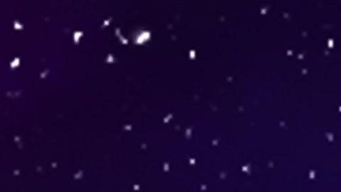 Los signos del zodiaco