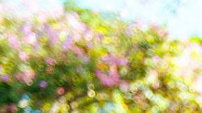 Natalia Jiménez y familia