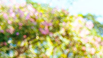 Natalia Jiménez y familia