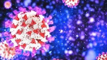 Dos nuevas subvariantes del coronavirus, conocidas como BA.4 y BA.5 están causando miles de casos.