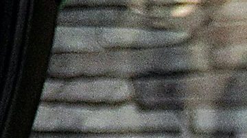 Susana Dosamantes | Mezcalent.