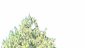 Michelle Renaud brillará en Venezuela | Mezcalent.