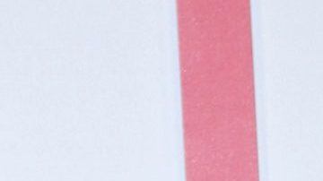 Diego Boneta | Mezcalent.