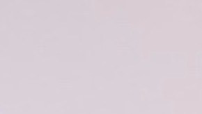 Adamari López | Mezcalent.