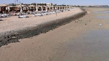 Egipto cierra sus playas en el mar Rojo luego de una serie de ataques de tiburones