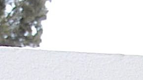 Fernando del Solar | Mezcalent.