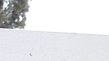 Fernando del Solar | Mezcalent.