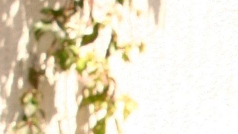 Roberto Palazuelos confirma que Andrés García terminó en el hospital por una fuerte caída