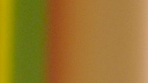 Pedro Rivera | Mezcalent.