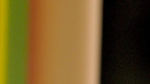 Pedro Rivera | Mezcalent.