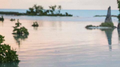 Islas vulnerables del Pacífico piden acción climática "urgente, inmediata"