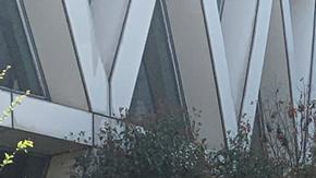 COVID-19: Shanghái pone en marcha nueva ronda de tests masivos