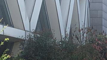 COVID-19: Shanghái pone en marcha nueva ronda de tests masivos