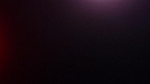 Investigan a 16 simpatizantes de Trump por tratar de alterar elecciones