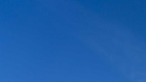 La Europol con sede en La Haya