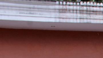 Comisión de DD.HH. de México pide protección para nueva caravana de migrantes