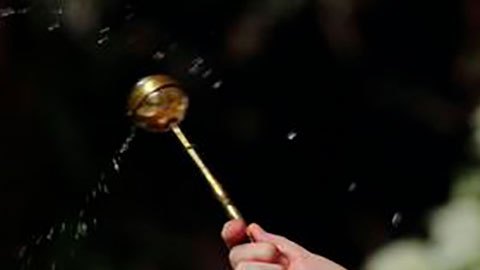 El papa desmiente rumores sobre su posible renuncia