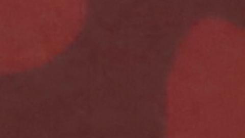 AMLO reconoce que el sistema de salud en México "está muy mal"AMLO reconoce que el sistema de salud en México "está muy mal"