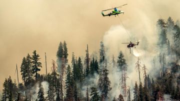 Crece incendio forestal que amenaza icónicas secuoyas gigantes de Yosemite