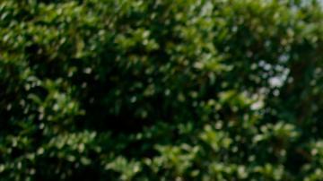 Blinken llega a Tokio para ofrecer condolencias por Abe