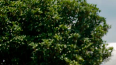 Blinken llega a Tokio para ofrecer condolencias por Abe