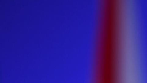 Gotabaya Rajapaksa huyó de Sri Lanka tras las protestas.