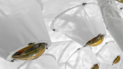 Podría revelar uno de los grandes misterios del Universo: científicos prueban el detector de materia oscura más sensible del mundo