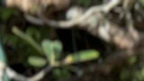 Sri Lanka decreta un toque de queda en Colombo tras las últimas protestas antigubernamentales