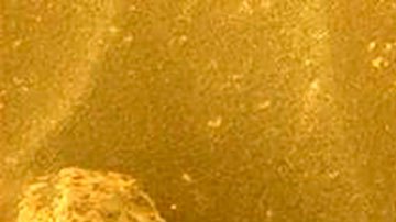 Perseverance de la NASA detecta un objeto similar a "remolino de espaguetis" en Marte