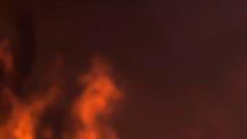 Europa registra récords históricos de calor