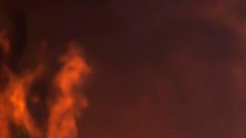 Europa registra récords históricos de calor