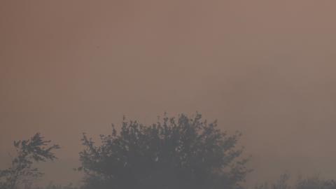 Hombre español filmado mientras escapaba de un incendio al intentar salvar un pueblo lucha ahora por su vida