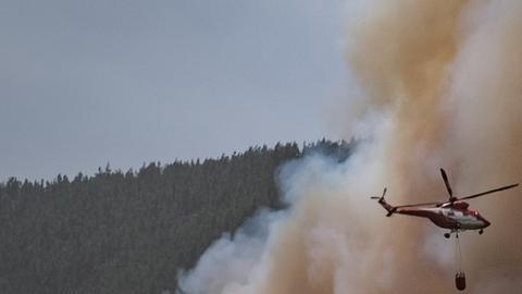 Incendios no dan tregua en España, Grecia y Eslovenia