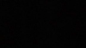 Susana Dosamantes | Mezcalent.