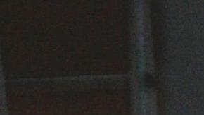 Silvia Pinal | Mezcalent.