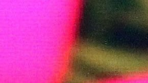 Frida Sofía | Mezcalent.