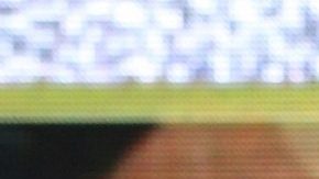 Michelle Renaud | Mezcalent.