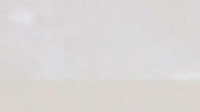 Aracely Arámbula | Mezcalent.