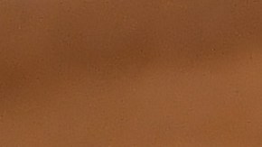 Alejandro Kirk de los Toronto Blue Jays es el primer catcher mexicano en ser elegido a un MLB All Star.