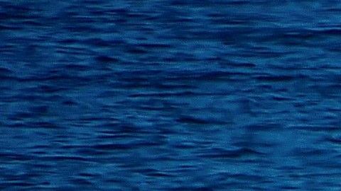Anciano mata a tiros a 'exhibicionista' por masturbarse frente a una mujer en una playa nudista de Francia