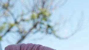 Asesinan a mujeres por considerarlas brujas